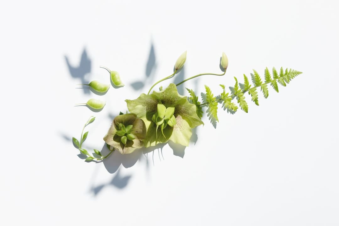 艺评丨常瑞芳:在国际的荒唐与日子的悲情中寻觅生命价值